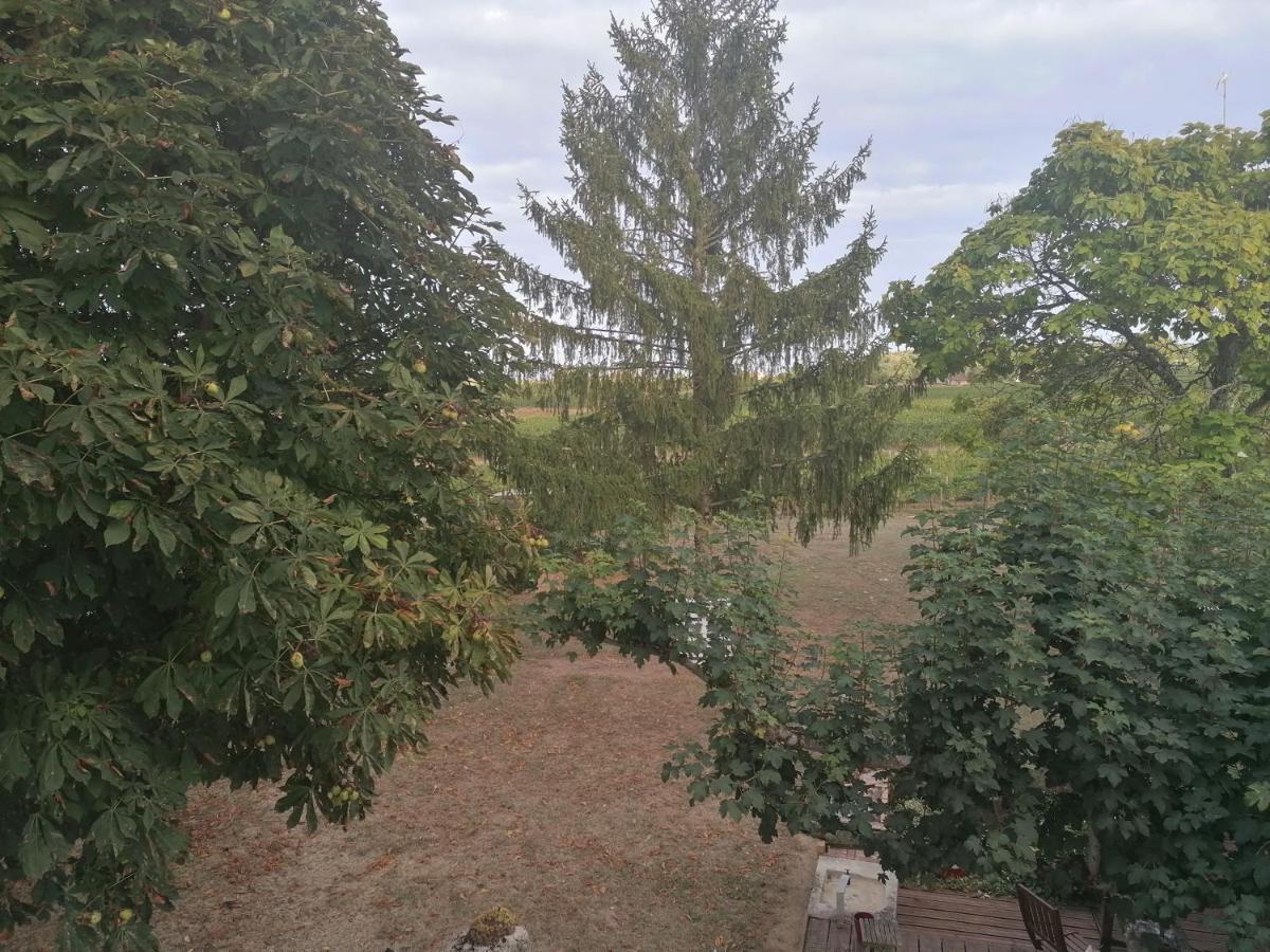 Apartament Le Marronnier Saint-Vincent-de-Pertignas Zewnętrze zdjęcie